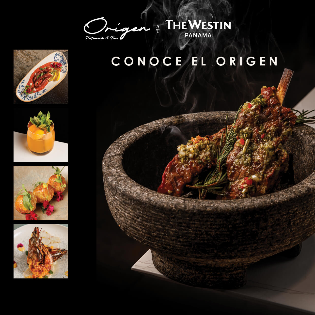 Descubre Origen